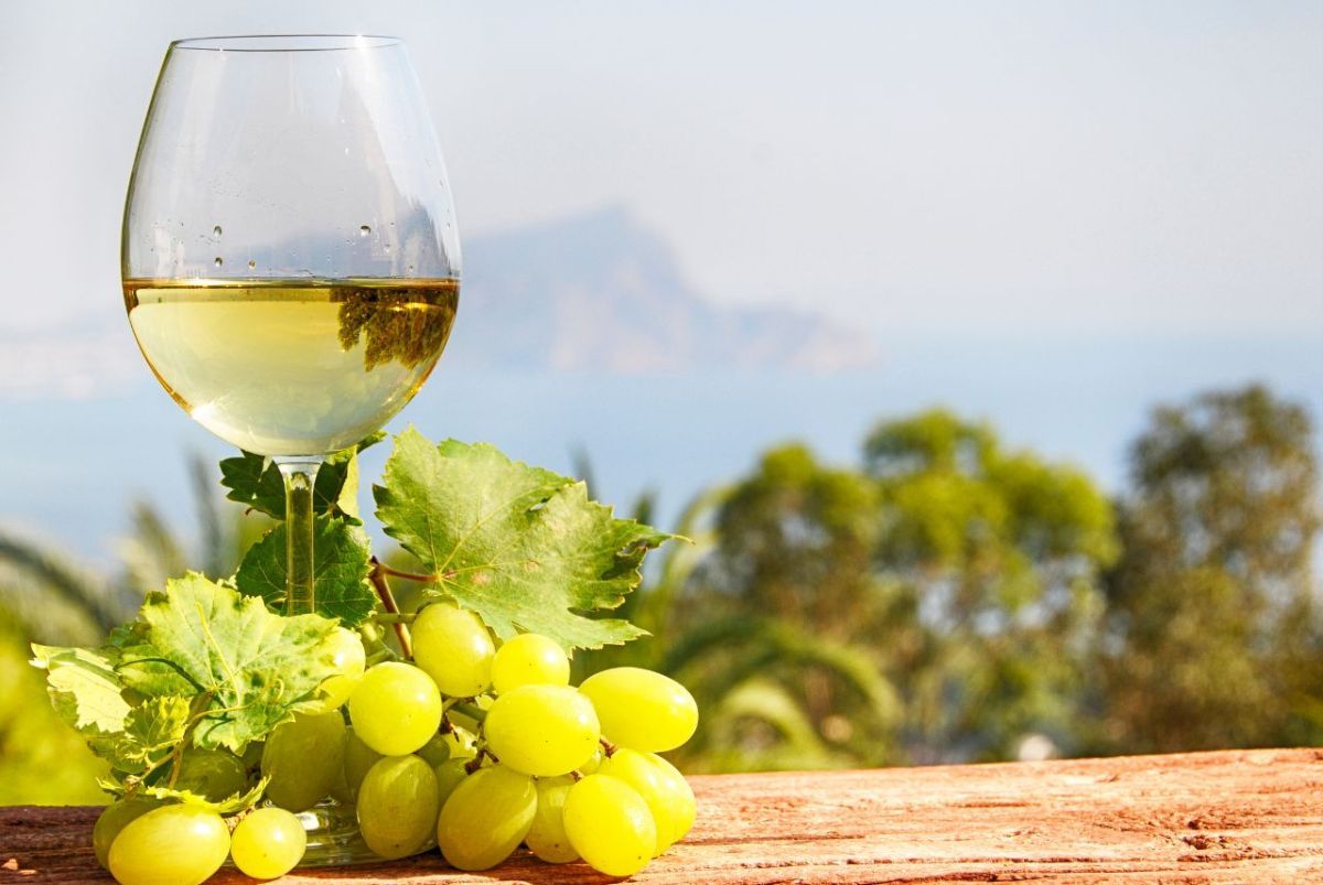 IL TREBBIANO TOSCANO: GIORNATA DI STUDIO E DEGUSTAZIONE Sabato 19 ottobre Sala Grande dell’Accademia e Chiostro di Cennano, Montevarchi (Arezzo)